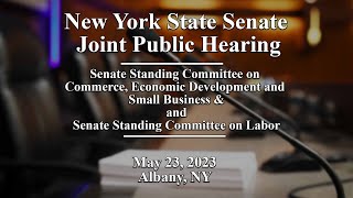 New York State Senate Joint Public Hearing - 05/23/2023