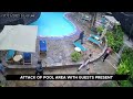 cctv footage of how pinewood beach resort in diani kenya was attacked u0026 people robbed.