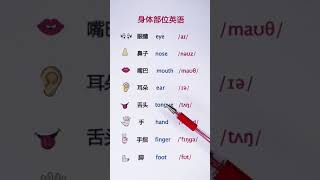 身体部位单词#英语 Learn Chinese - Learn English