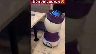 This robot 🤖 is amazing 😍 #shorts