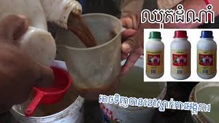 របៀបផលិតថ្នាំកំចាត់មេរោគ