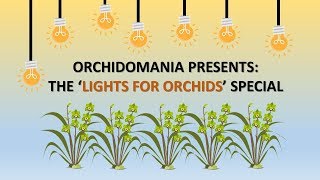 Orchidomania Presents: The 'Lights for Orchids' Special - Part 1