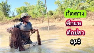 กัดดาง ตึกแหหาปลา ปลาขาวเยอะ #หว่านแห #fish ep3