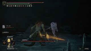 骨灰代打 「黑刀」狄希 VS 混種聖騎士 PS4 艾爾登法環 ELDEN RING 二周目 外鄉人打法