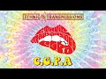 Ethnic Transmissions - C.G.P.A (Official Video)