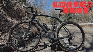 私の愛車紹介『黒馬帝号』