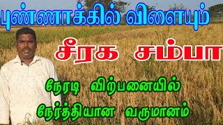 சீரக சம்பா நேரடி விற்பனையில் நேர்த்தியான வருமானம்