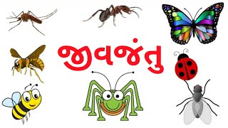 જીવજંતુ ના નામ ગુજરાતી માં | Insects name Gujarati language | Name of insects | Insect Name |