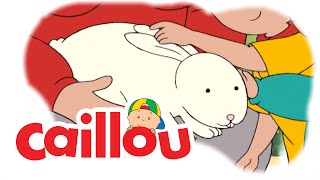 Caillou - Disappearing Carrots  (S03E04) | Videos For Kids