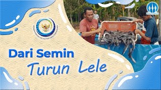 Dari Semin Turun Lele