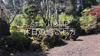 【StayHome】【alljapancamp】【バトン】【家で過ごす】