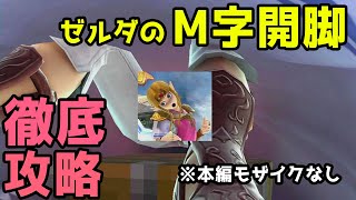 【スマブラSP】ゼルダのM字開脚パンチラがえ○ちすぎる💚　ssbu upskirt