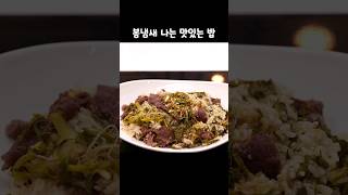 봄에 진짜 맛있는 밥