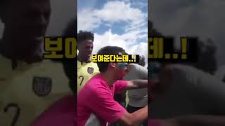 역대급 닭에게 참교육 당한 스피드 ㅋㅋㅋㅋㅋ