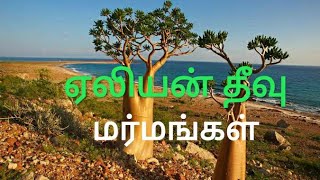 Alien Island or Socotra Island Wonders| ஏலியன் தீவு மர்மங்கள்