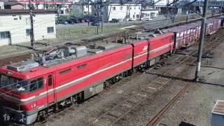 EH800形牽引高速貨物 五稜郭駅発車 South Hokkaido Railway Freight Train