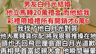 男友白月光結婚 他立馬轉20萬禮金，而他給我彩禮帶婚禮所有開銷才6萬6，我找了他白月光對質 他大罵賤貨你配 將我狠狠推搡在地，頭也不回飛巴厘島跟白月光道歉，再相見首富認親大會 他瞬間嚇暈