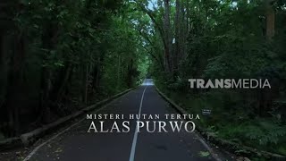 Misteri Hutan Tertua Alas Purwo | SECRET STORY (17/03/23)