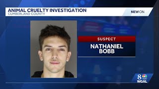 East Pennsboro Township police search for man who allegedly abused dog in 'graphic video'