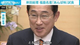 岸田総理　福島名産「あんぽ柿」試食　柿色のネクタイも着用(2024年1月26日)