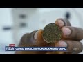 congo brasileiro comanda missão de paz no país jornal da band