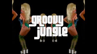 GROOVY JUNGLE -  Sam Quealy