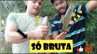 ACHAMOS A NINHADA DAS BRUTAS!!!