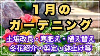 【花笑う春の準備スタート！】冬しかできない作業もあります。意外とやること多い冬のガーデニングを少しまとめました。