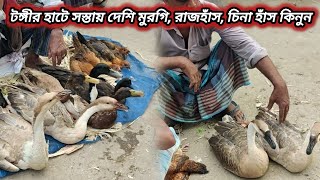 টঙ্গী হাটে সস্তায় দেশি মোরগ, মুরগি, রাজহাঁস, চিনা হাঁস কিনুন!