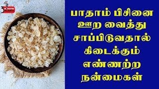 பாதாம் பிசினை ஊற வைத்து சாப்பிடுவதால் கிடைக்கும் எண்ணற்ற நன்மைகள் /3 MINUTES ALERTS