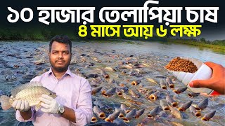 ১০ হাজার মনোসেক্স তেলাপিয়া চাষের আয়-ব্যয় || Monosex Tilapia || Shakib Agro