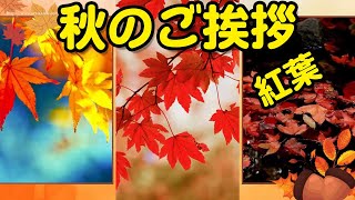 秋のご挨拶動画 紅葉の風景 秋の動画で送る季節のカード