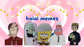 halal memes that will make you laugh 🤣🤣part-3 🤌❤️ #memes #funnymemes #funny