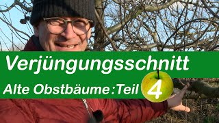 Verjüngungsschnitt | Alte Obstbäume schneiden | Teil 4 | Wasserschosse entfernen