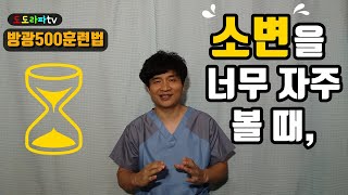 빈뇨, 급박뇨, 절박뇨 증상. 방광 훈련법입니다.