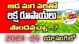 ఆడ మగ వరి  | male female paddy seeds | hybrid paddy seeds | south india