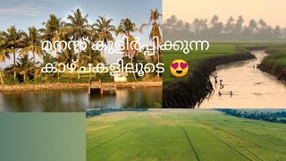 ഒരു കുട്ടനാടൻ പുലരി 🌾☀️kuttanadan kazhchakal😍