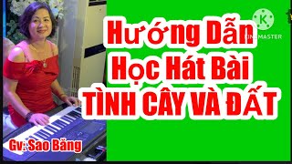 HƯỚNG DẪN HỌC HÁT BÀI: TÌNH CÂY VÀ ĐẤT