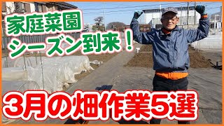 家庭菜園や農園で３月に注意する畑作業を徹底解説！トウモロコシ栽培や玉ねぎ、ジャガイモなど野菜毎の育て方を解説【農家直伝】