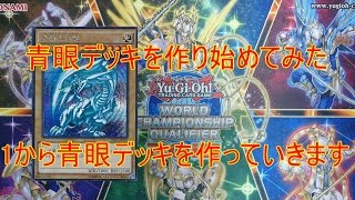 遊戯王 青眼デッキを作り始めてみた 第5回 念願だった1万円もする高額な購入品紹介!?