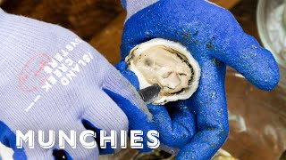 Oysters And Clams - Everything You Need To Know