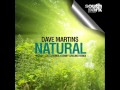 Dave Martins - Natural (Hector Couto Remix).wmv