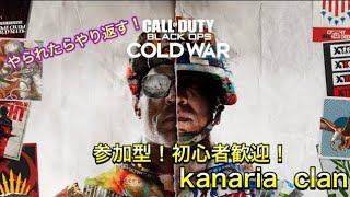 下手くそのワイワイゲーム配信[CoD BOCW][参加型][参加希望の方は概要欄必読]