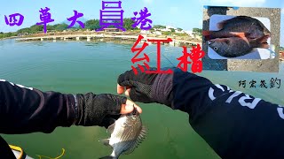 [阿宏筏釣]四草大員港筏釣 釣魚 同事起了2隻紅槽