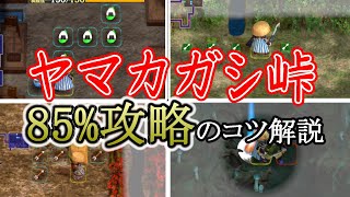 成功率８５％ヤマカガシ峠攻略のコツ解説【シレン６】