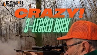 CRAZY 3 legged BUCK!?!? | Deer hunting the big woods