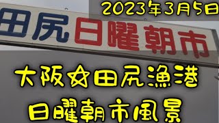 2023年3月5日 大阪☆田尻漁港　日曜朝市　市場風景　#大阪　#田尻　#田尻漁港　#日曜朝市　#市場　#鮮魚　#日帰り旅行　#グルメ　#osaka