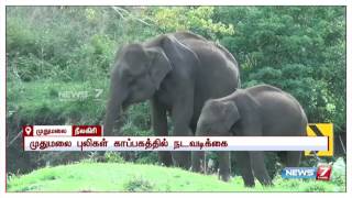 முதுமலை வனப்பகுதியில் அத்துமீறி சென்ற சுற்றுலா பயணிகளிடம் 56 ஆயிரம் ரூபாய் அபராதம் வசூலிப்பு