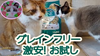 売上No.1のピュリナワン激安トライアルを試した猫 Cat who tried the trial food