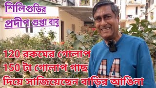 120 রকমের প্রায় 150 টা গোলাপ গাছ দিয়ে সাজিয়েছেন বাড়ির আঙিনা, শিলিগুড়ি প্রদীপ গুপ্তা বাবু।